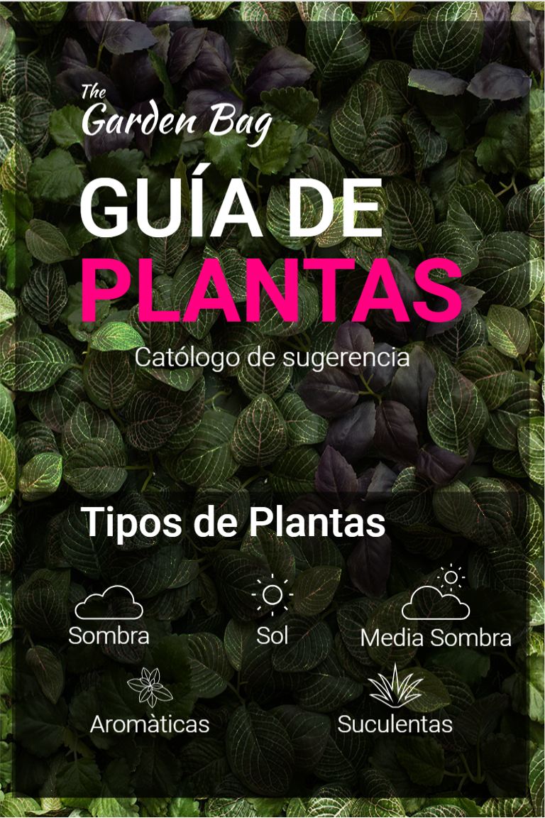 Guía de plantas